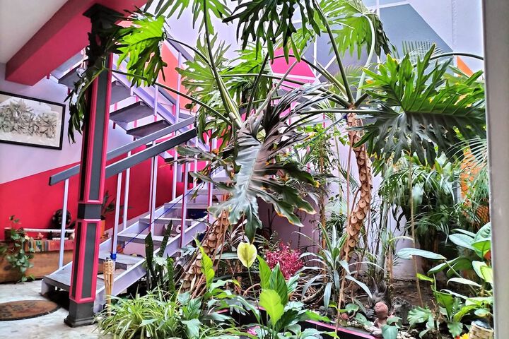 Casa Maguey