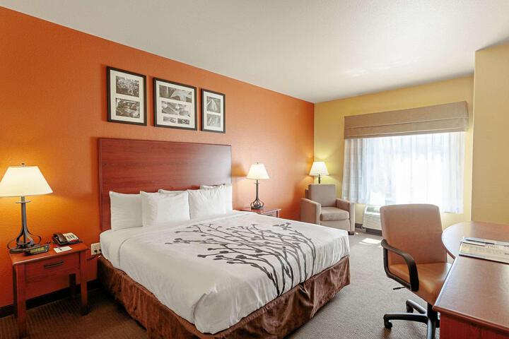 1 King Bed Accessible (21 of 24)