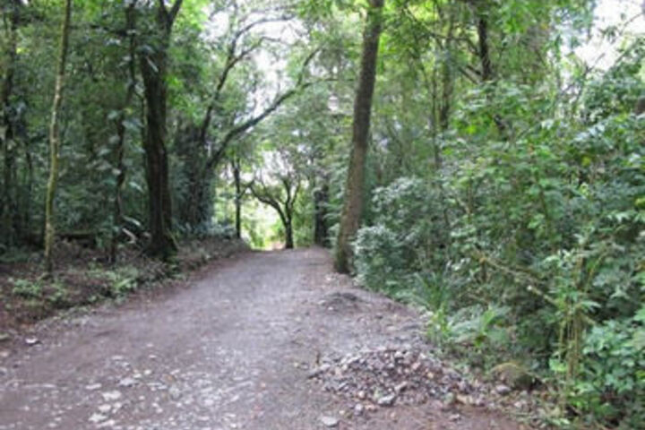 Photo 16