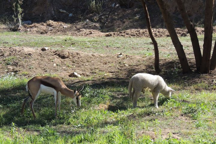 Hotel Exterior 48 of 52