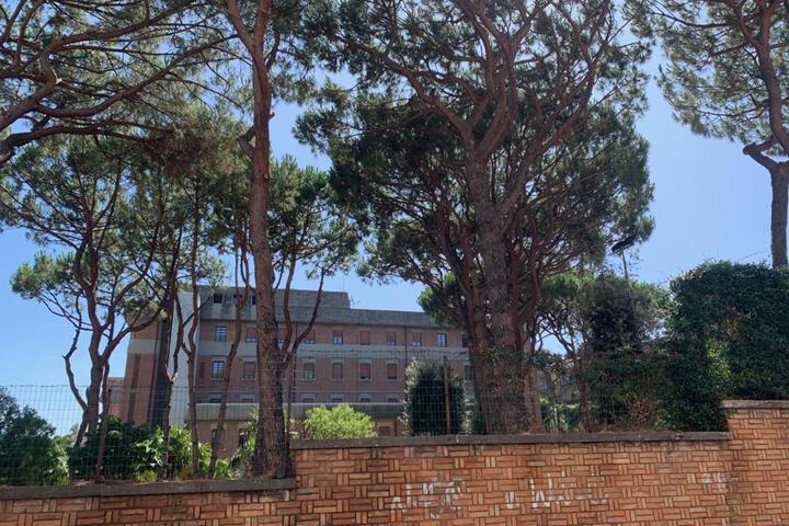 General 8 of 23