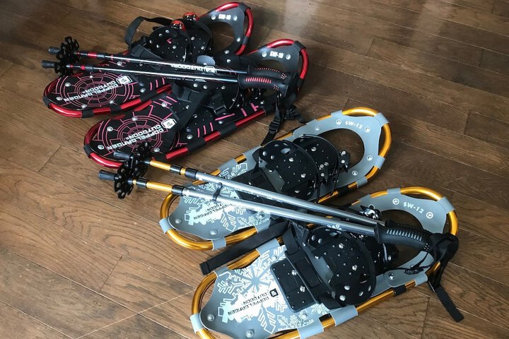 Snowshoeing