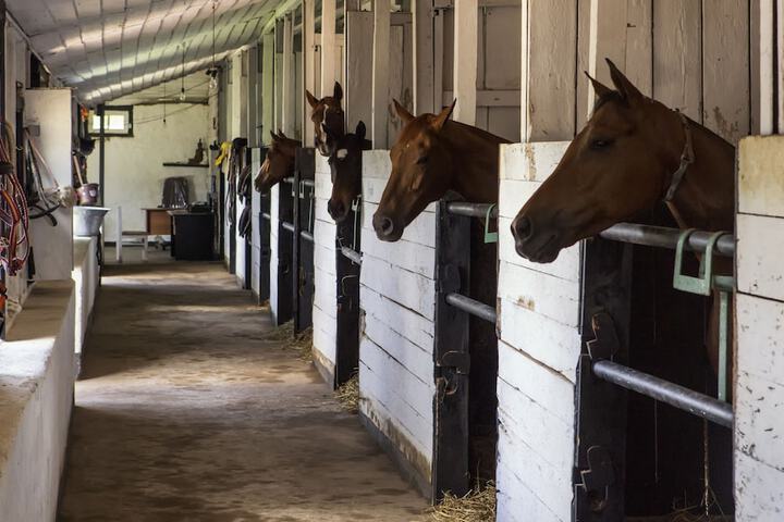 Room 6 of 28