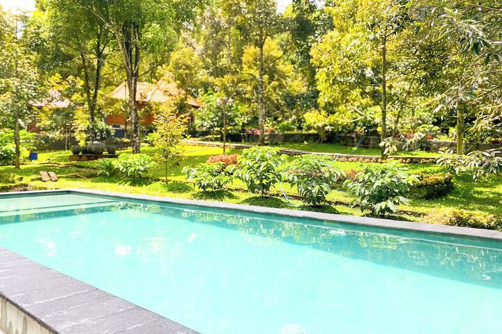 Pool 13 of 26