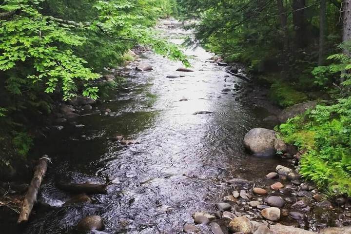 Property Grounds 34 of 44