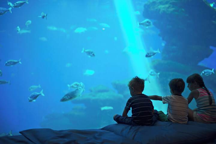 Children's activities