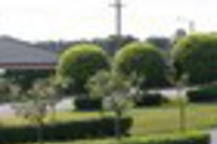 Property Grounds 71 of 105