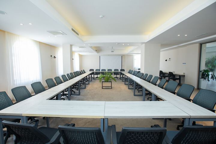 Meeting 29 of 30