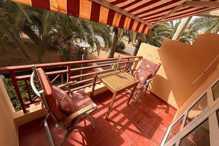Palmeral Oasis