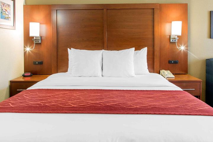 2 King Beds (12 of 29)