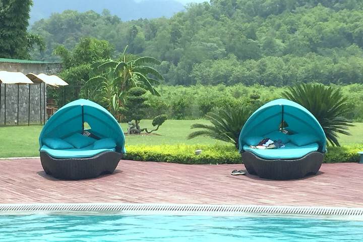 Pool to Cool