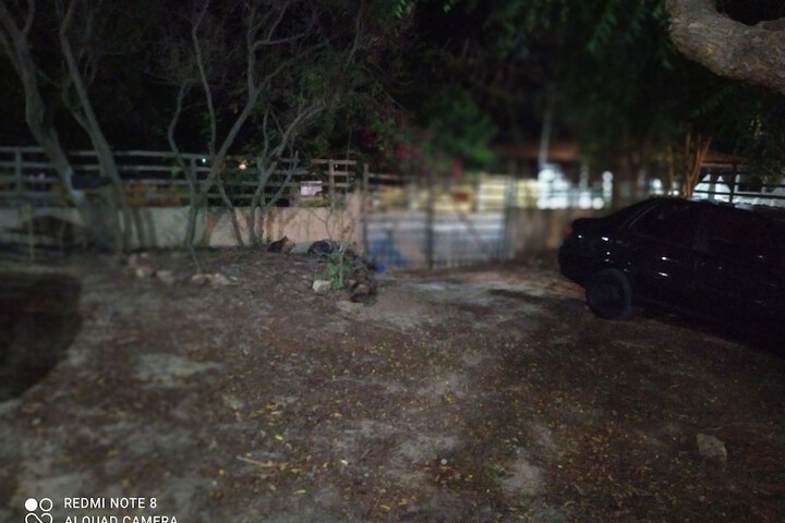 Property Grounds 36 of 64