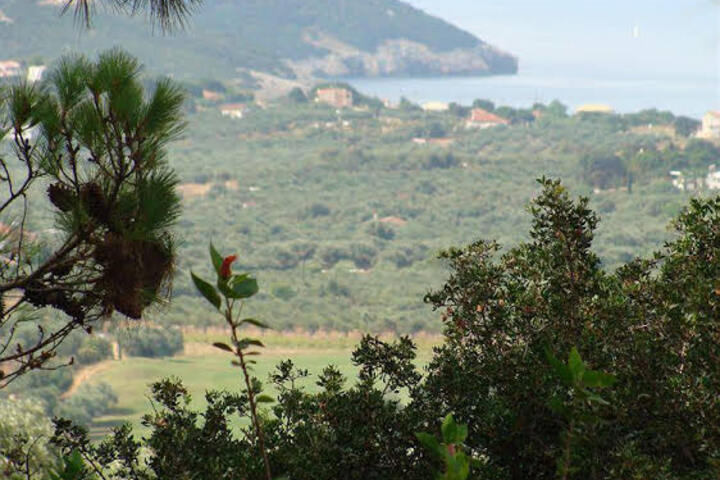 Traganitsa