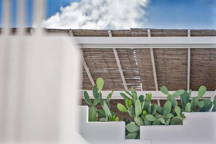Terrace/Patio 32 of 101