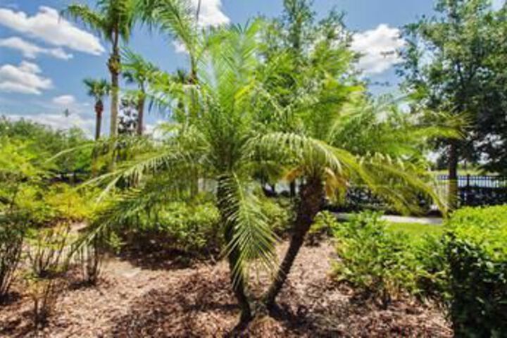 Hotel Exterior 28 of 97