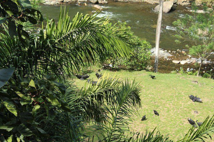 Property Grounds 33 of 67