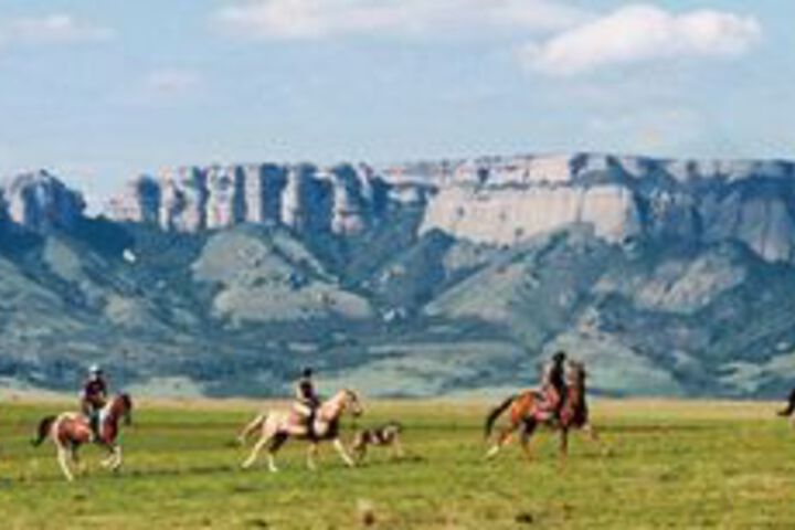 Property Grounds 28 of 49