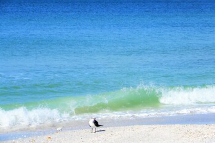 Beach 7 of 81