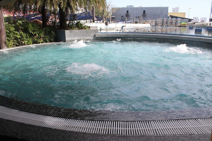 Pool 147 of 204