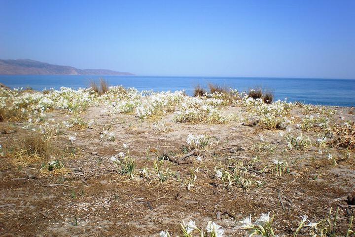 Beach 60 of 79