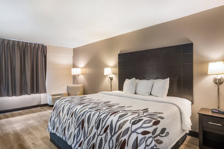 Deluxe King Bed (4 of 8)