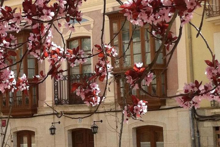 Emebed Posada