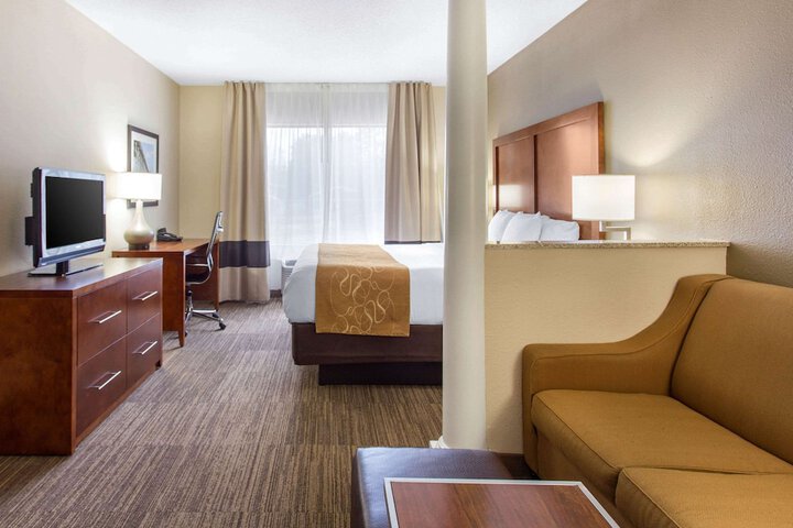 1 King Bed Suite (18 of 29)