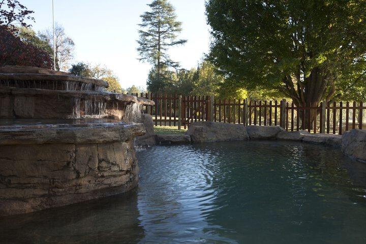 Pool 161 of 299