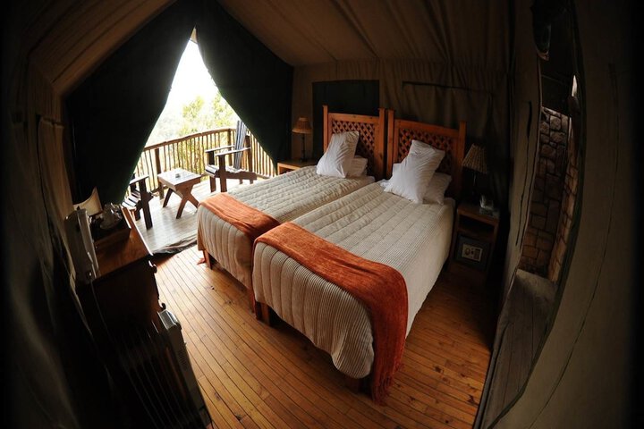Room 3 of 67