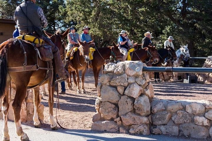 Horseback riding