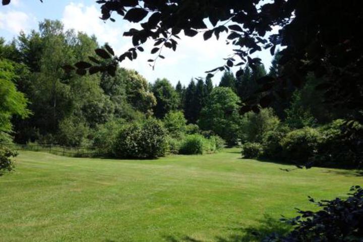 General 37 of 49