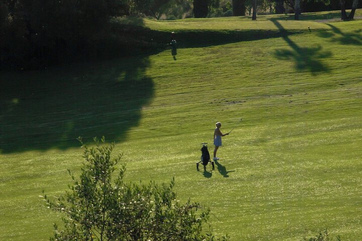 Golf 101 of 122