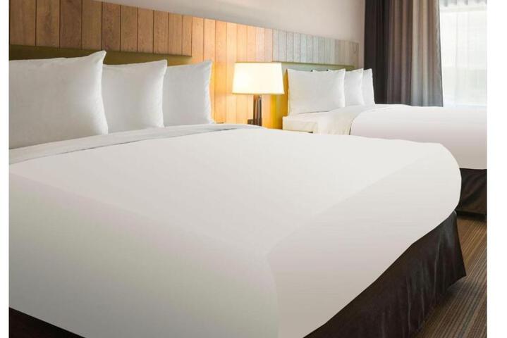 2 Double Beds (2 of 8)