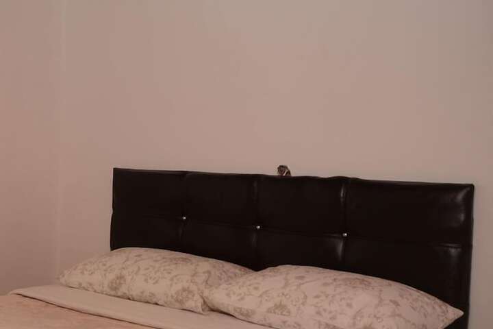 Room 6 of 45