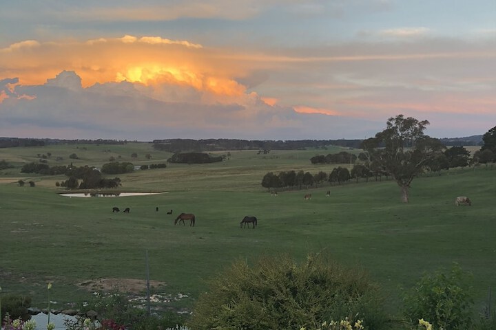 Property Grounds 13 of 21