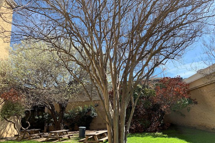 BBQ/picnic area
