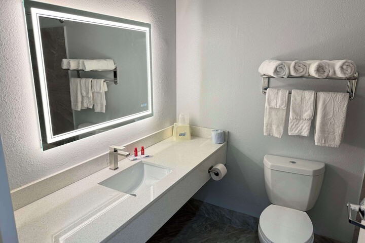 1 King Bed Suite - Free WiFi Sofa Bed Microwave, Refrigerator, Free Continental Breakfast (9 of 16)