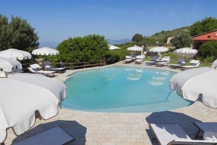 Hotel with Pool