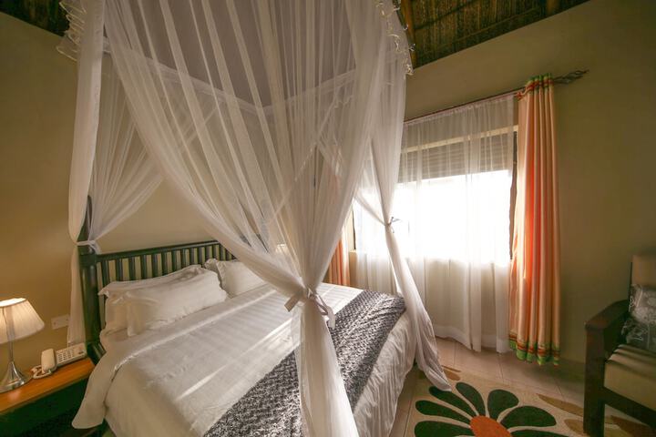 Room 4 of 56