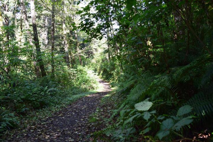 Photo 32