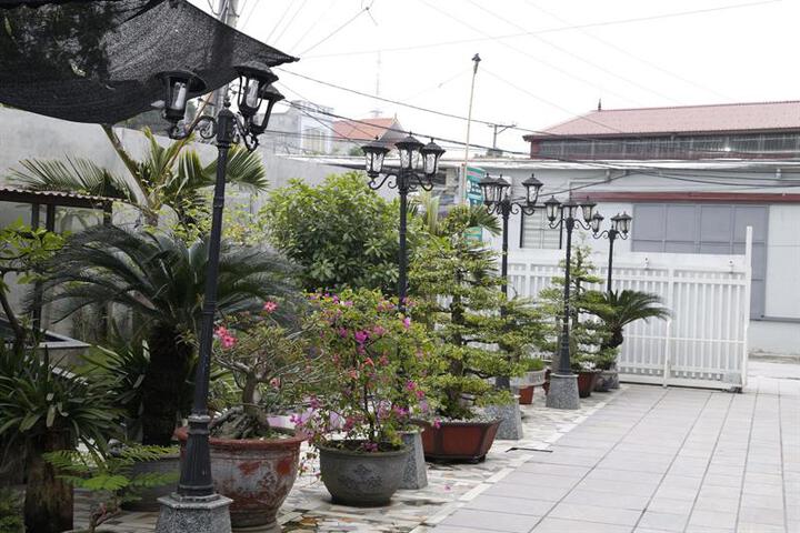 Photo 8