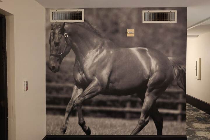 Ballroom/Hall 61 of 95