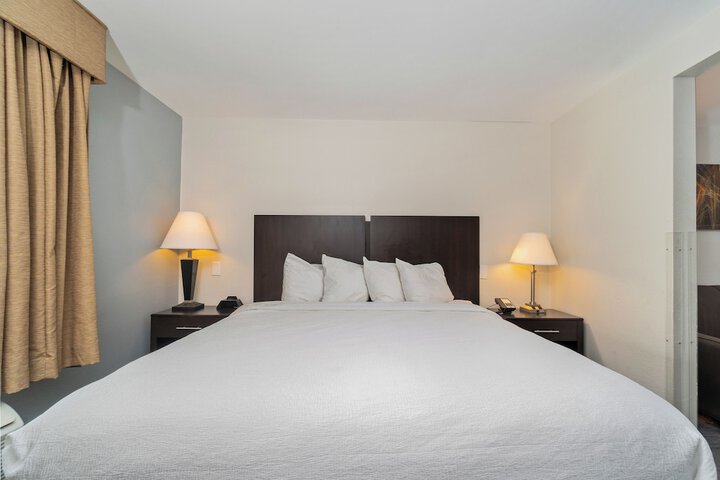 Suite Room