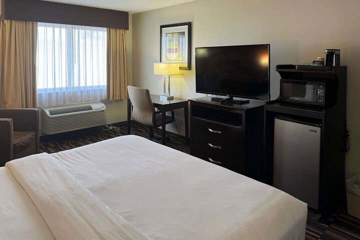 1 King Bed (5 of 8)