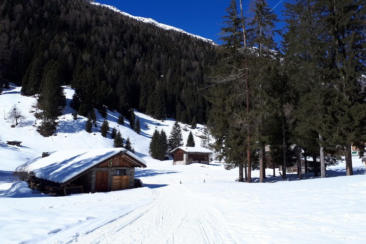 Snowshoeing