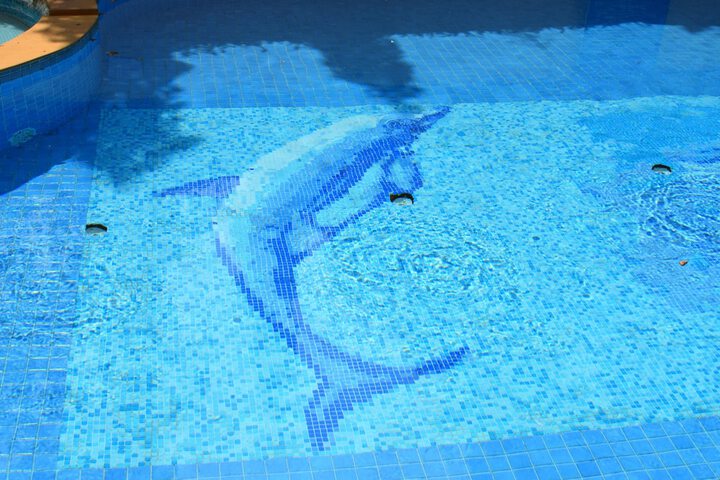 Pool to Cool