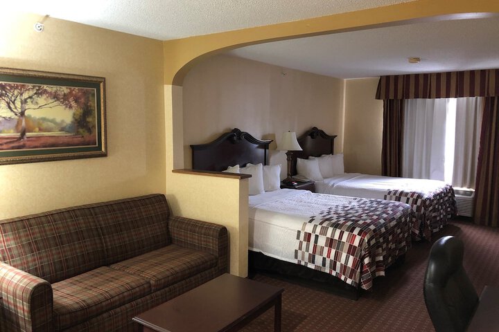 Standard Suite 1 King Bed with Sofa Bed (4 of 6)