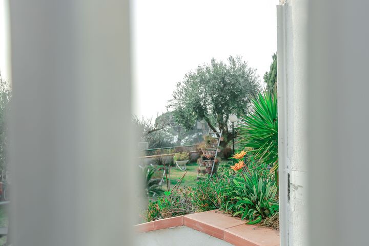 Property Grounds 15 of 65