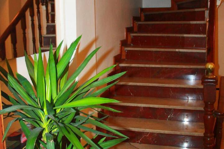 Hotel Liva Suite