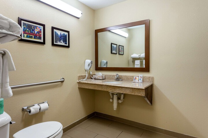 1 King Bed Accessible (8 of 11)